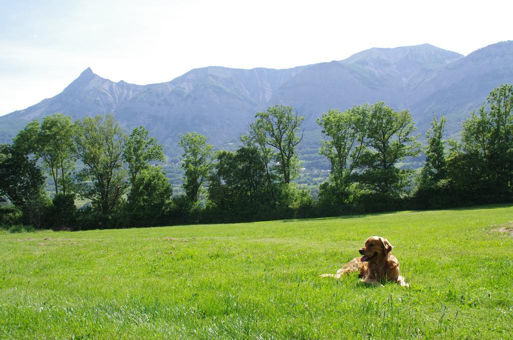 Hotel Vvf Les Ecrins Champsaur Saint-Bonnet-en-Champsaur Zewnętrze zdjęcie