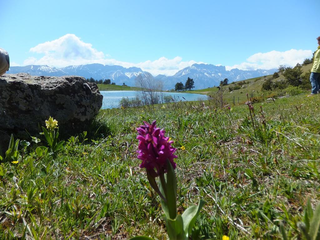Hotel Vvf Les Ecrins Champsaur Saint-Bonnet-en-Champsaur Zewnętrze zdjęcie